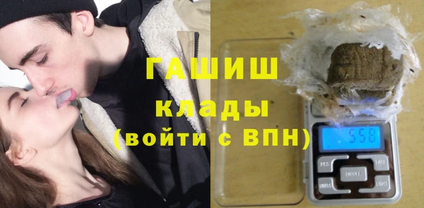 индика Алзамай