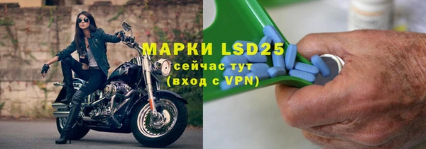 индика Алзамай