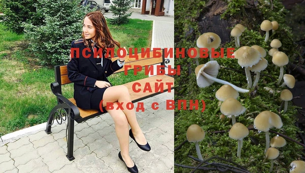 ECSTASY Алексеевка