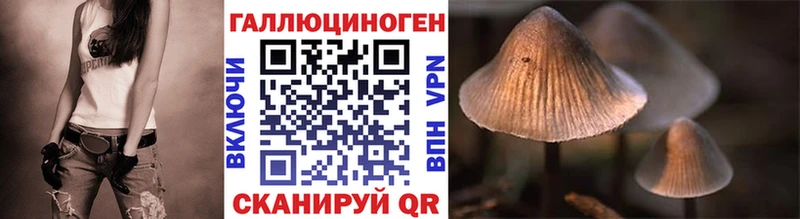 Галлюциногенные грибы MAGIC MUSHROOMS  где можно купить наркотик  Гвардейск 
